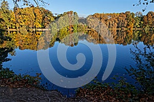 Reflections of the trees in the park lake photo