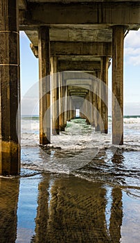 Reflections Under Scripps Memorial Pier on La Jolla Shores Beach