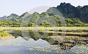 Reflexiones de largo tiempo naturaleza reservas 