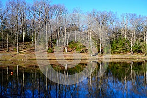 Reflections in a Virginia Lake