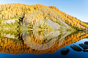 Reflections on water, autumn panorama from mountain lake