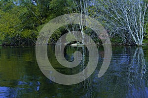 Reflections In The water At Rotary Park