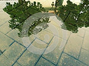 Reflections in Water : A SERENE Landscape