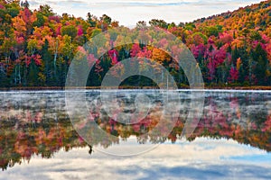 Reflective foggy surface of serene lake with coast of fall forest trees in peak foliage