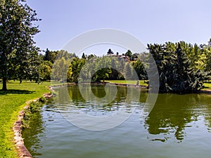 Reflective pond surrounded by trees in a city park