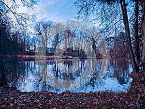 Reflective pond water with bare autumn tree reflections on a cloudy day