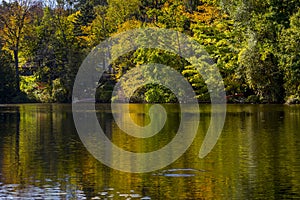 Reflective Still Pond in Autumn