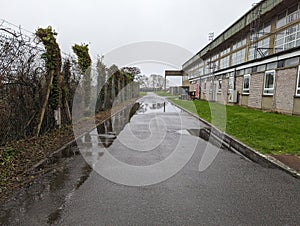 Reflective wet road near green hedged fence photo