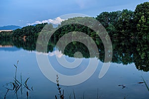 Reflecton of trees on water level of pond photo