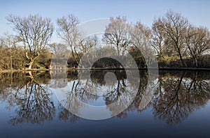 Refletions of trees in lake at Daisy Nook