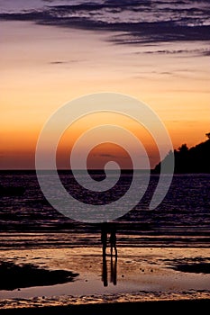 reflex in the beach in the sun photo