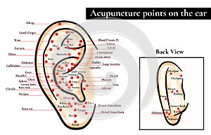 Reflex zones on the ear. Acupuncture points on the ear. Map of a