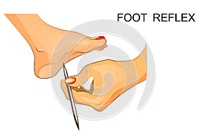 Reflexes of the foot. neuroscience photo