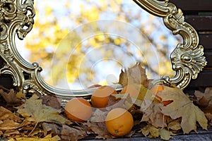 Reflexion in a mirror of autumn leaves, an autumn mirror and tan