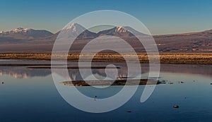 Reflexion on salt lake atacama