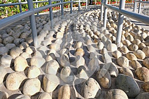 Reflexology cobblestones pathway for foot massage. White pebble stones for massage to relieve tension and treat illness