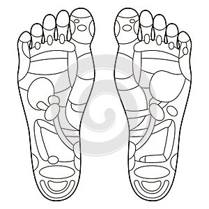 Reflexology foot massage points reflexology zones, massage signs and colored points