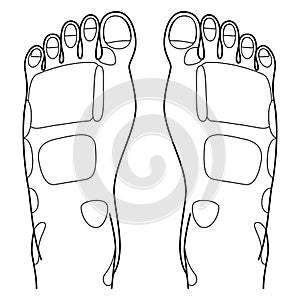 Reflexology foot massage points reflexology zones, massage signs and colored points