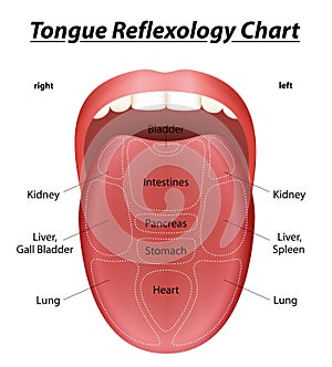 Reflexology Tongue