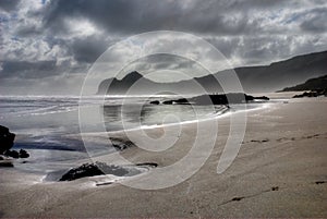 Reflextions on Te Henga, Bethells Beach, Waitakere, Auckland New Zealand