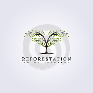 reforestation evergreen green forest logo vector illustration design