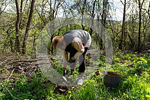 Reforestation Initiative: Planting Chestnut Trees