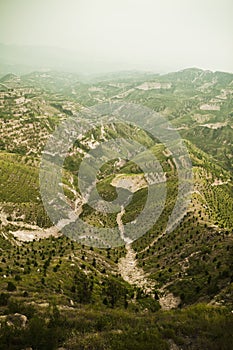 Reforested areas in the mountains, Shanxi Province, China photo