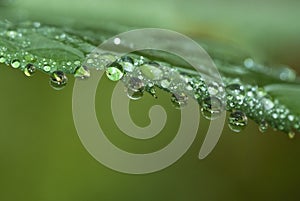 Refraction on a droplets