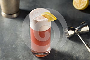 Refreshing Boozy Chicago Fizz Cocktail