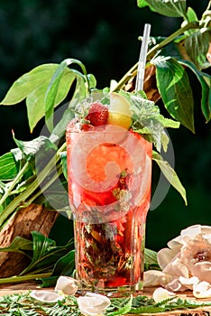 Refreshing cocktail with ice, mint, lemon and strawberries on the background of green leaves. space. close up.