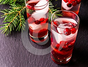 Refreshing cocktail with vodka with ice and cranberr