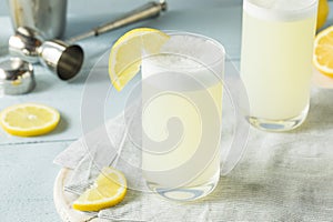 Refreshing Cold Egg Gin Fizz