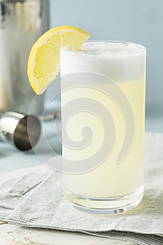 Refreshing Cold Egg Gin Fizz photo