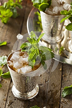 Refreshing Cold Mint Julep