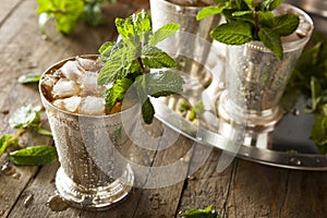 Refreshing Cold Mint Julep photo