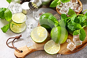 Refreshing cold summer Mojito cocktail making. Mint, lime, ice ingredients and bar utensils o.