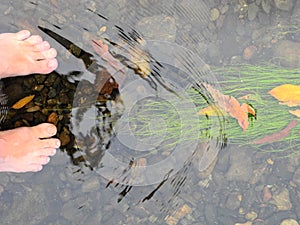 Refreshing in the crystal clear creek