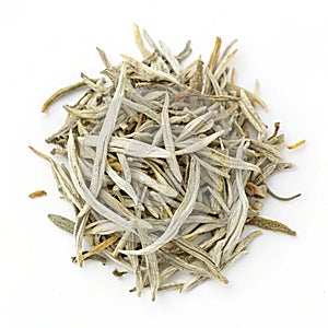White tea isolated on white background