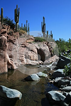 Refreshing desert creek