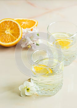 A refreshing fruit juice with sliced lemon and orange