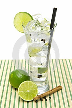 Refreshing gin tonic