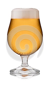A refreshing glass of cider, in a schooner glass, with condensation