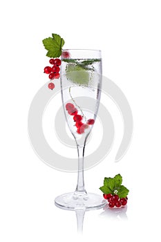 Refreshing glass of water with Red currant isolated in a glass for champagne