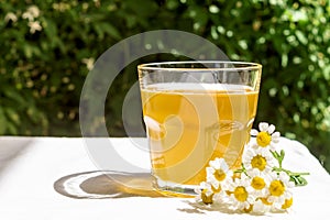 Osvěžující čaj zdravotní heřmánek v sklo na pozadí z rozmazané květiny. zdravý přírodní probiotické ochucený 