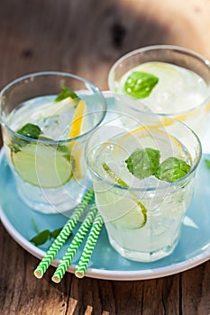 Refreshing lemonade drink with mint lime lemon in garden