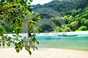 Refreshing with nature