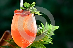 Refreshing orange summer cocktail with ice and mint on the background of green leaves. space. close up.