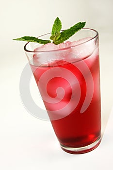 Refreshing Red Cocktail Beverage