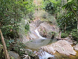 Refreshing river stream in Mount Stong National Park in Dabong, Kelantan, Malaysia.