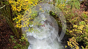 Refreshing scene of flowing stream with colorful maple trees for background